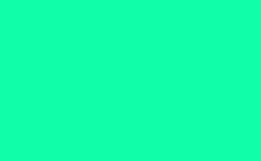 RGB color : 0effa8, gif 