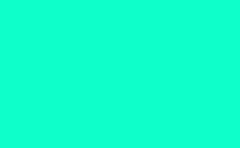 RGB farbe: 0effca, gif 