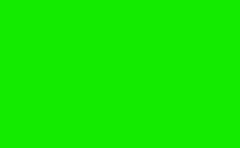 RGB farbe: 13eb00, gif 