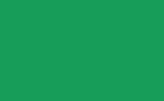 RGB color : 179d59, gif 