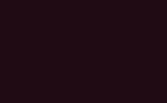 RGB color : 1e0b16, gif 