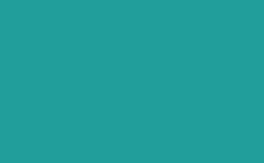 RGB color : 219e9b, gif 