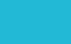 RGB color: 22b9d6, gif 