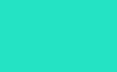 RGB color : 24e2c2, gif 