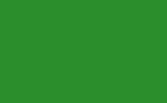 RGB color : 2b8e2c, gif 