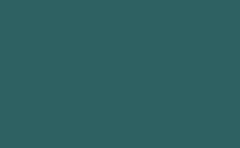 RGB color : 2e6162, gif 