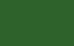 RGB color : 2e622b, gif 