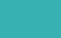 RGB color : 36b2b2, gif 