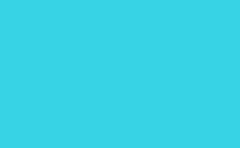 RGB color : 37d3e5, gif 