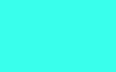 RGB color : 39ffec, gif 