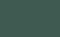 RGB color : 3e5b52, gif 