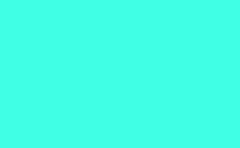 RGB color : 40ffe5, gif 