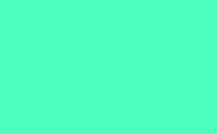 RGB color : 4effbd, gif 