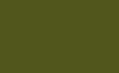 RGB color : 51561c, gif 