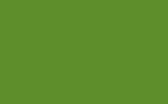 RGB color : 5e8e2b, gif 