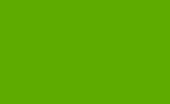 RGB color : 5eab00, gif 