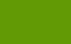 RGB color : 629a06, gif 