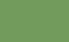 RGB color : 729b5c, gif 