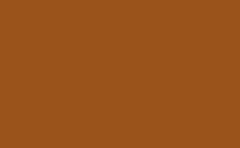 RGB color: 9a531b, gif 