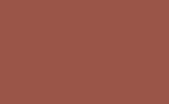 RGB color: 9a5548, gif 