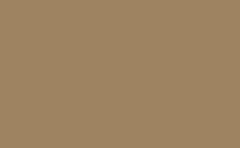 RGB farbe : 9e8361, gif 