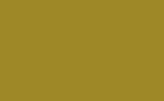 RGB color : 9e8827, gif 