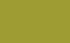 RGB color : 9e9c33, gif 