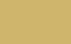 RGB color: cfb56c, gif 