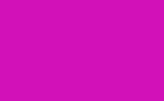 RGB color : d212b8, gif 