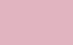 RGB farbe: e1b4c0, gif 