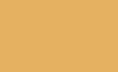 RGB farbe: e5b161, gif 