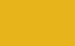 RGB color: e8b41b, gif 