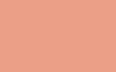 RGB farbe : ec9f87, gif 