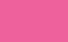 RGB farbe : ee619c, gif 