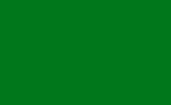 RGB farbe: 00781a, png 