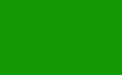 RGB farbe: 159a07, png 