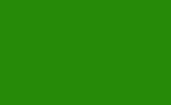 RGB farbe: 268a08, png 