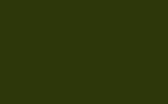 RGB farbe: 2d370a, png 