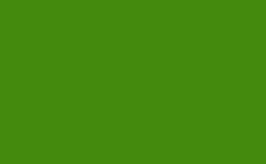 RGB farbe : 448a0d, png 