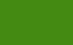 RGB farbe: 448a12, png 