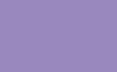 RGB farbe: 9888be, png 